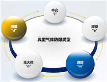 Requirements for IP protection level of explosion-proof equipment used in explosive gas sites