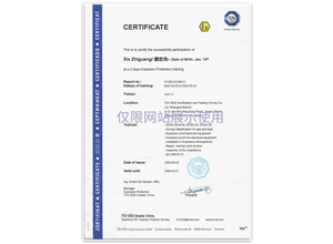 TUV South Germany IECEx Personal Certificate